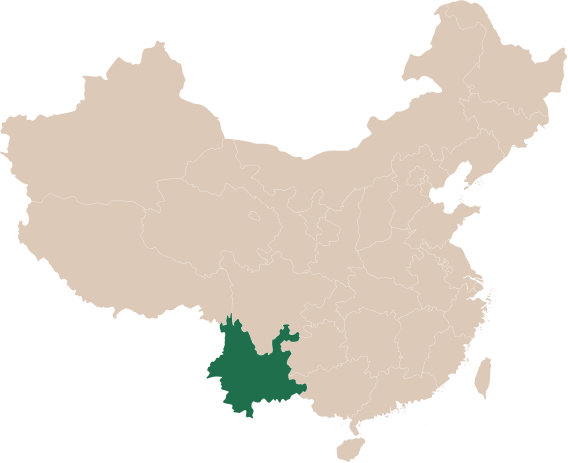 Походження