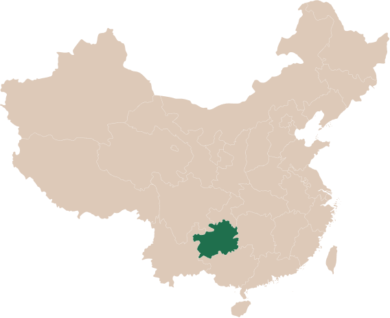 Походження Походження